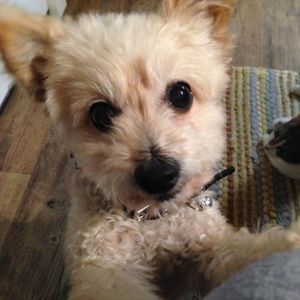 Meet your Posher, Kathy